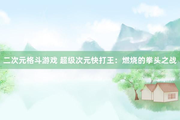 二次元格斗游戏 超级次元快打王：燃烧的拳头之战