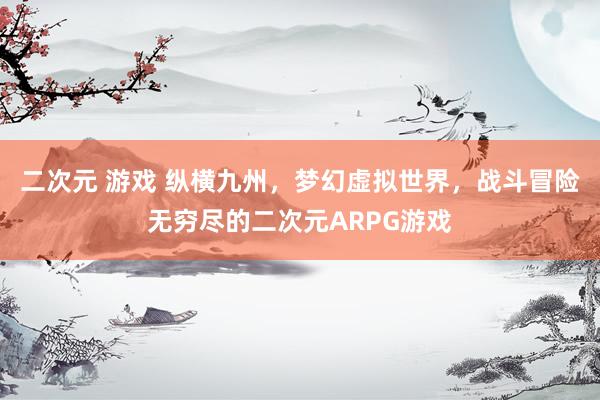 二次元 游戏 纵横九州，梦幻虚拟世界，战斗冒险无穷尽的二次元ARPG游戏